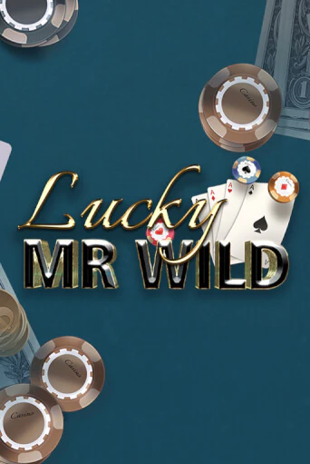Lucky Mr. Wild демо игровой автомат | ВАВАДА бесплатно